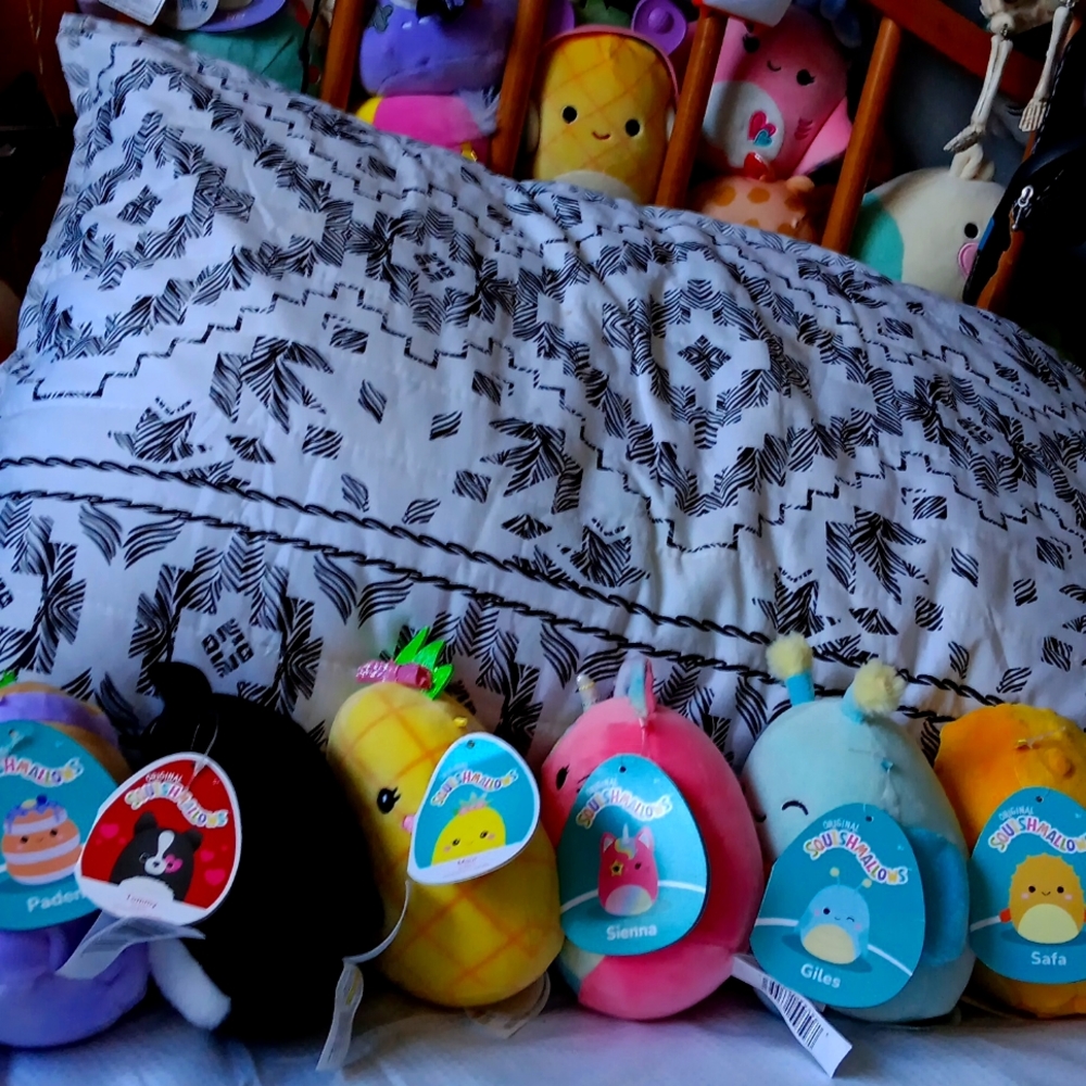 6 squishmallows 5" bundle giles Paden Tommy sienna Maui safa
